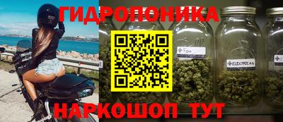 твердый Гай