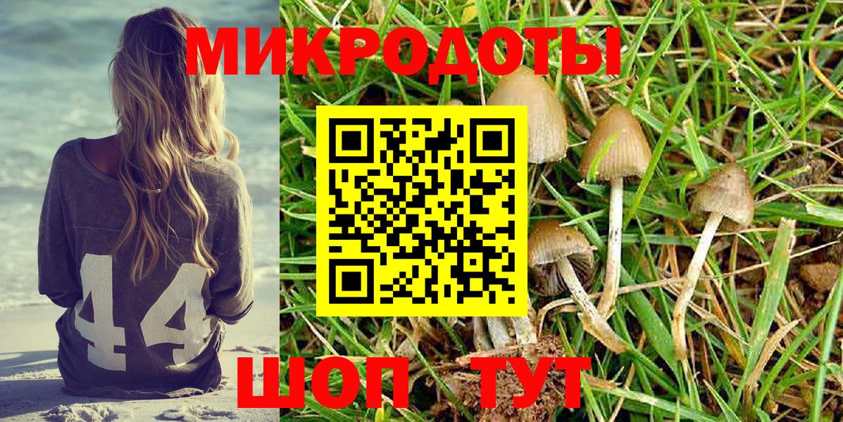 Галлюциногенные грибы MAGIC MUSHROOMS  Вход с VPN  Новошахтинск 