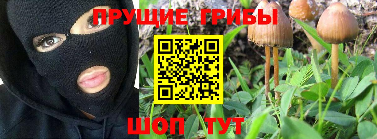 Галлюциногенные грибы GOLDEN TEACHER Новошахтинск